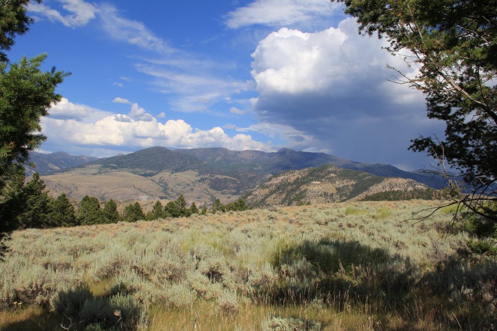 Rare Cinnabar Basin Acreage - Sold - Legacy Lands Llc